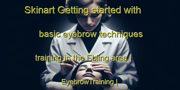 Skinart Getting started with basic eyebrow techniques training in the Ebling area | EyebrowTraining | EyebrowClasses | SkinartTraining-United States
